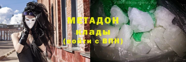 шишки Арсеньев