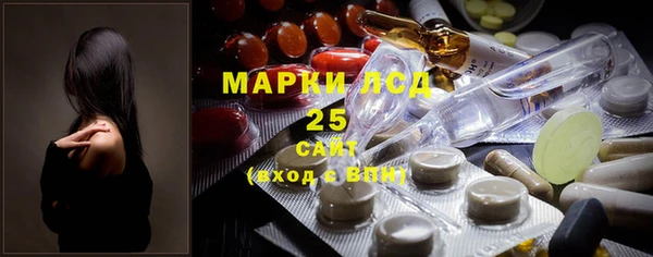шишки Арсеньев