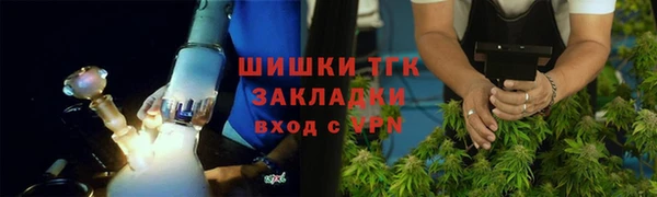 шишки Арсеньев