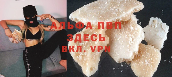 шишки Арсеньев