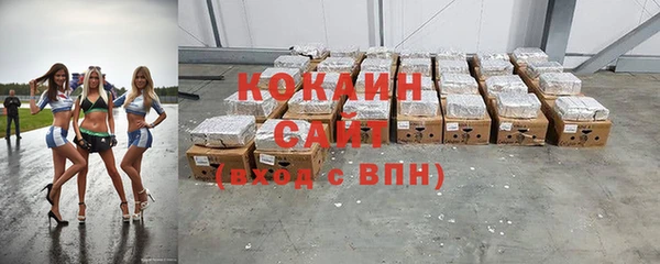 шишки Горнозаводск